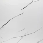 MS020