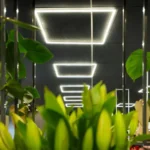 600*600 LED  Frame Panel  Light