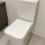 DreamFlow Modern Toilet