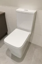 DreamFlow Modern Toilet
