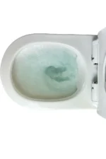 BioFlush Eco Friendly Toilet - Image 2
