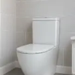 HomePure Everyday Toilet
