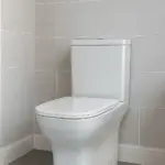 CleanFlush Basic Washdown Toilet