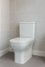 CleanFlush Basic Washdown Toilet