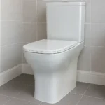 CleanFlush Basic Washdown Toilet