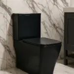 ShadowLux Matte Black Rimless Toilet