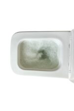 Raven's Rest Dual Flush Toilet - Image 4