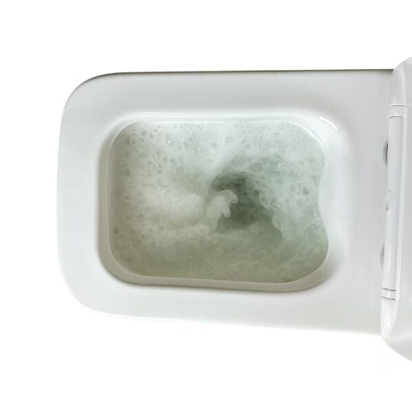 Raven's Rest Dual Flush Toilet - Image 4