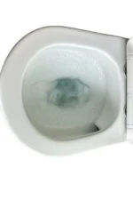 PureEase Family Toilet - Image 3