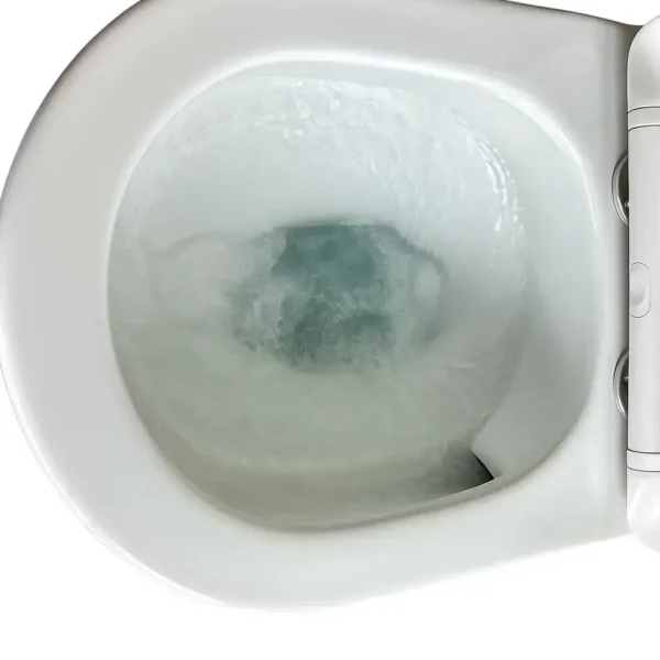 PureEase Family Toilet - Image 3