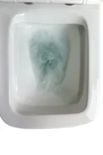 RoyalJet Bidet Toilet Combo - Image 2