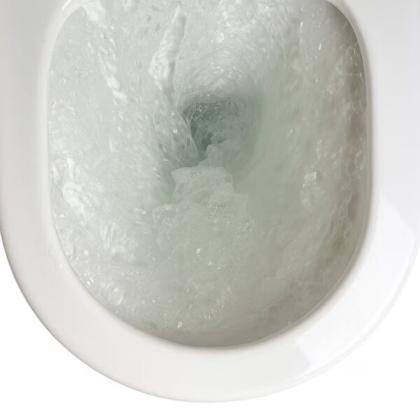 High-Gloss Porcelain Toilet DPS - Image 4