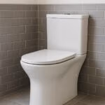 Graphite Classic Dual Flush Toilet