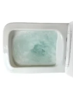 DreamFlow Modern Toilet - Image 2