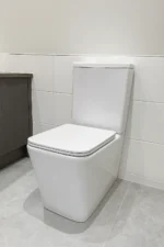 RoyalJet Bidet Toilet Combo