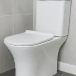 BioFlush Eco Friendly Toilet