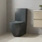 toilet pic