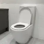 PureEase Family Toilet