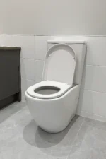 PureEase Family Toilet