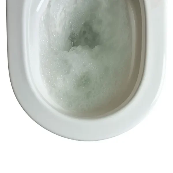 Wall Hangging — High-Gloss Porcelain Toilet | Quiet Dual-Flush, Anti-Stain Finish - Image 3