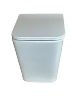 Raven's Rest Dual Flush Toilet - Image 3