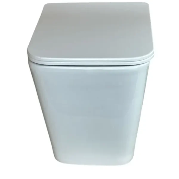 Raven's Rest Dual Flush Toilet - Image 3
