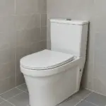 AquaPure Rimless Washdown