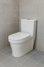 AquaPure Rimless Washdown