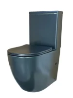 NoirEdge Gloss Black Dual Flush Toilet - Image 2