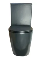 NoirEdge Gloss Black Dual Flush Toilet - Image 3