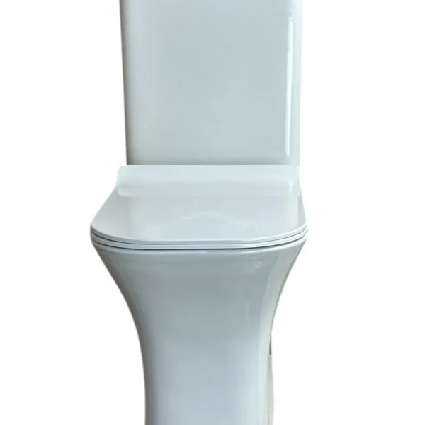 CleanFlush Basic Washdown Toilet - Image 3