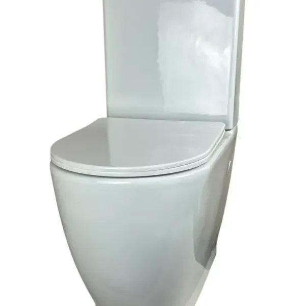 High-Gloss Porcelain Toilet DPS - Image 3