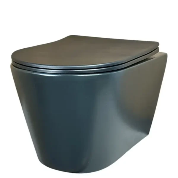 WhisperSeat SoftClose Toilet - Image 4