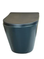 WhisperSeat SoftClose Toilet - Image 2