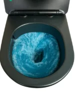 WhisperSeat SoftClose Toilet - Image 3