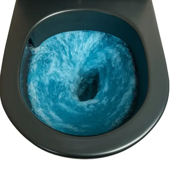 WhisperSeat SoftClose Toilet - Image 3